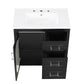 Bathroom Vanity with Sink, Bathroom Vanity Cabinet with Two Drawers and Door, Adjustable Shelf, Solid Wood and MDF, Black