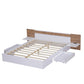 Queen Size Platform Bed with Headboard, Drawers, Shelves, USB Ports and Sockets  White