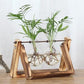 Vintage Creative Hydroponic Plant Transparent Vase Wooden Frame Coffee Shop Room Glass Tabletop Plant Bonsai Decr