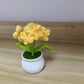 Handmade crocheted small flower potted plants, finished home furnishings, decoration simulation, flower wool knitting, sunflower weaving bouquet