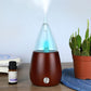 Aromatherapy Lamp Wholesale Solid Wood Handmade Glass Essential Oil Cold Spray Diffuser Air Purification and Humidification Dual-purpose Aroma Diffuser