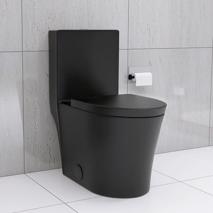 Matte Black Elongated One Piece Toilet Dual Flush 1.1/1.6 GPF Water Saving Map 1000g,Matte Black