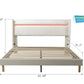 LED light with remote control and color changing at the head of the bed. The bed is firm and stable and easy to assemble