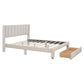 Queen Size Storage Bed Velvet Upholstered Platform Bed with a Big Drawer - Beige