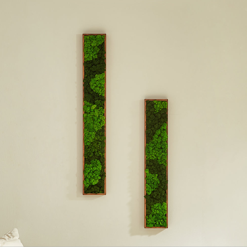 Rectangular Mixed Moss Wall Art, only the Medium