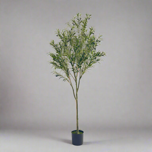 180CM ARTIFICIAL OLIVE TREE