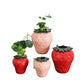 Strawberry ceramic vase, flower arrangement, living room home decoration ornament, hydroponic flower pot, high-end and high aest