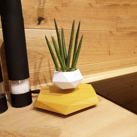 Plantas en macetas con levitación magnética Macetas creativas para bonsáis Plantas Decoraciones de plantas para oficina Sin plantas Dormitorio