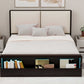 Queen Size Platform Bed Frame with Upholstery Headboard and Bookshelf in Footboard and LED Light Strips, Espresso