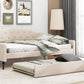 Full Size Upholstered Tufted Daybed with Twin Size Trundle, Beige