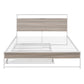 Queen Size Metal Platform Bed Frame with Trundle, USB Ports and Slat Support ,No Box Spring Needed White