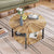 Round Coffee Table Stand Wooden Double Layer Coffee Table with Open Storage Space and Metal Table Legs