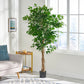 180CM ARTIFICIAL FICUS TREE