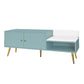 Modern Shoe Storage Bench with Hidden Storage and Upholstered Cushions, Tiffany Blue Finish