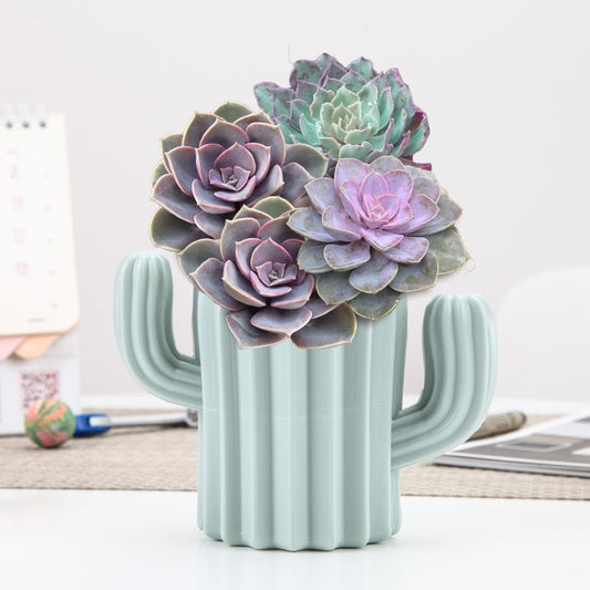 Can Be Used As a Vase/Pen Holder, Desktop Cactus, Desk, Multifunctional Storage, Flower Arrangement, Vase, Pot, Decoration