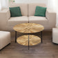 Round Coffee Table Stand Wooden Double Layer Coffee Table with Open Storage Space and Metal Table Legs