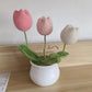 Handmade crocheted small flower potted plants, finished home furnishings, decoration simulation, flower wool knitting, sunflower weaving bouquet