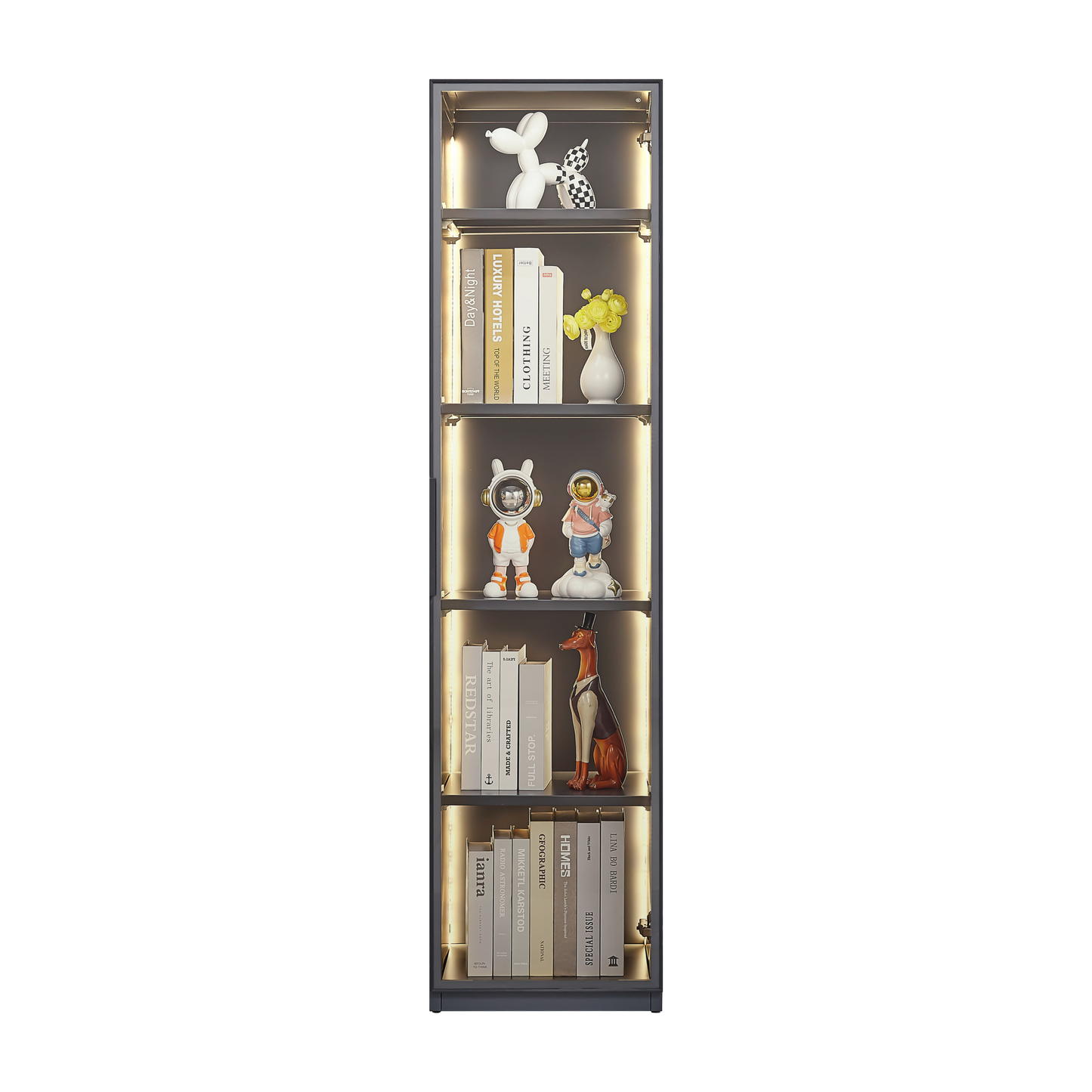 Single door display cabinet