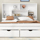 Queen Size Platform Bed with Storage Headboard and 2 Drawers, White