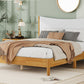 Queen Size Rubber Wooden , Solid Wooden Bed with Teddy Velvet Cushion Upholstered Headboard, Enhanced by Support Feet