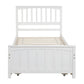 Twin size Platform Bed with Trundle White