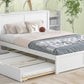 Queen Size Storage Platform Bed with Pull Out Shelves and Twin XL Size Trundle  White