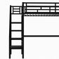 Metal Loft Bed Frame with Desk  No Box Spring Needed Twin Black