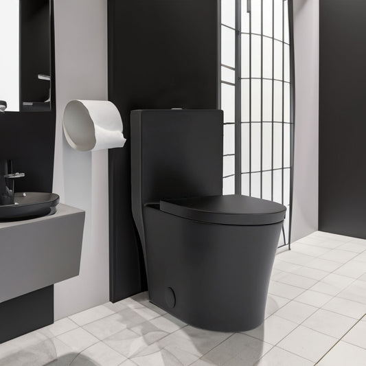 Matte Black Elongated One Piece Toilet Dual Flush 1.1/1.6 GPF Water Saving Map 1000g,Matte Black