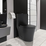 Matte Black Elongated One Piece Toilet Dual Flush 1.1/1.6 GPF Water Saving Map 1000g,Matte Black