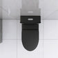 Matte Black Elongated One Piece Toilet Dual Flush 1.1/1.6 GPF Water Saving Map 1000g,Matte Black