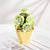 Succulent Blocks Assembled Plants Simulation Bouquet Potted Children's Toys Creative Ornaments Model