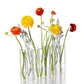 INS Wind Home Test Tube Vase Glass Flower Art Aquaculture Flower Set Flower Vase Decoration Ornaments