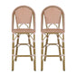 Wicker Bar Stool with Aluminum Frame (Set of 2)