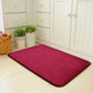 Convenient Magic Non Slip Door Mat Dirts Trapper Indoor Super Absorbent Doormat