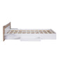 Queen Size Platform Bed with Headboard, Drawers, Shelves, USB Ports and Sockets  White