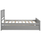 Twin size Platform Bed with Trundle Gray