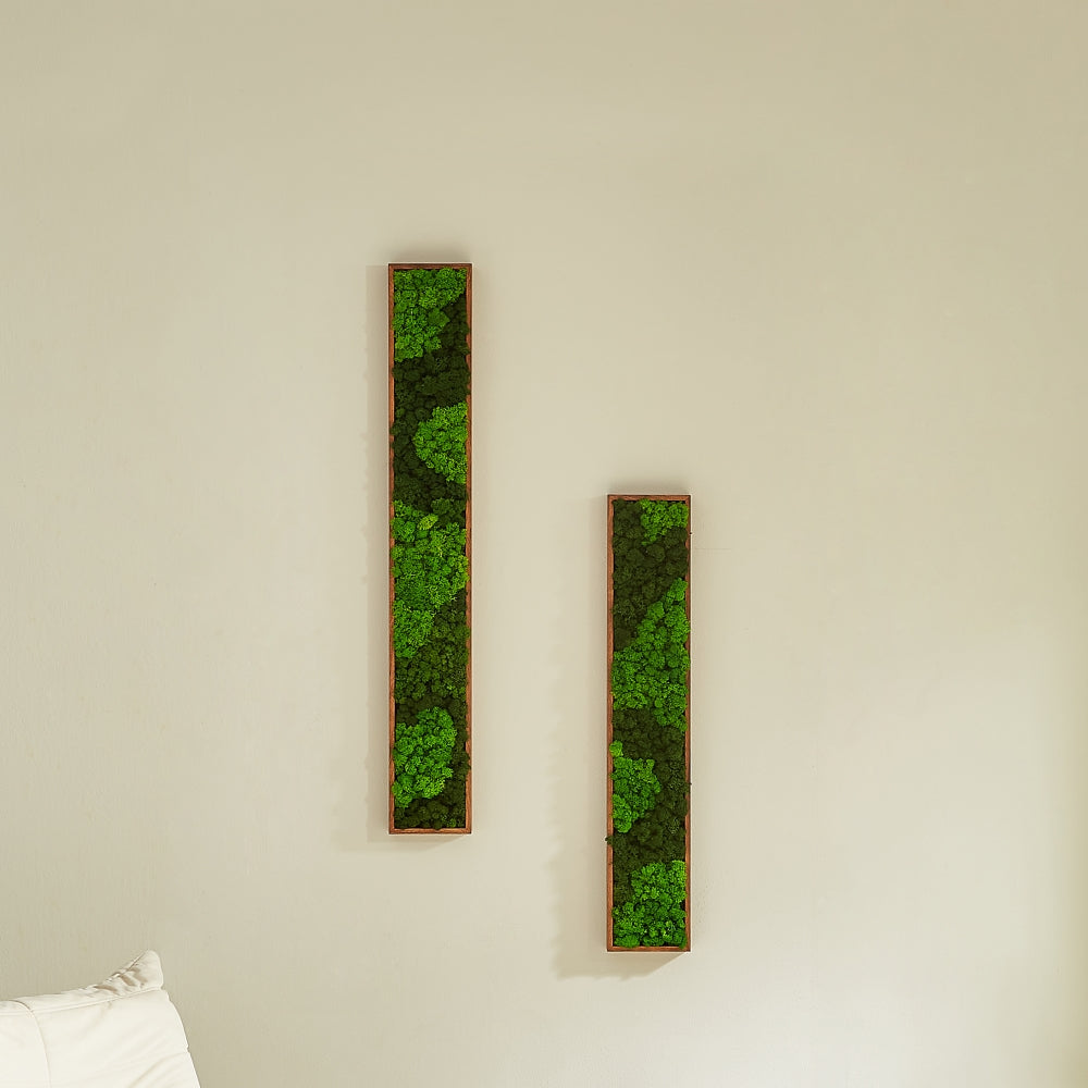 Rectangular Mixed Moss Wall Art, only the Medium