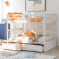 Full over Full Bunk Bed with Drawers  Convertible Beds  White