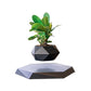 Magnetic levitation potted plants Creative Bonsai Flower Pots Plants Office Plant Decorations Without Plants Bedroom