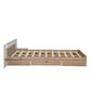 Queen Size Platform Bed with Headboard, Drawers, Shelves, USB Ports and Sockets, Natural