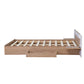 Queen Size Platform Bed with Headboard, Drawers, Shelves, USB Ports and Sockets, Natural