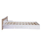 Queen Size Platform Bed with Headboard, Drawers, Shelves, USB Ports and Sockets  White