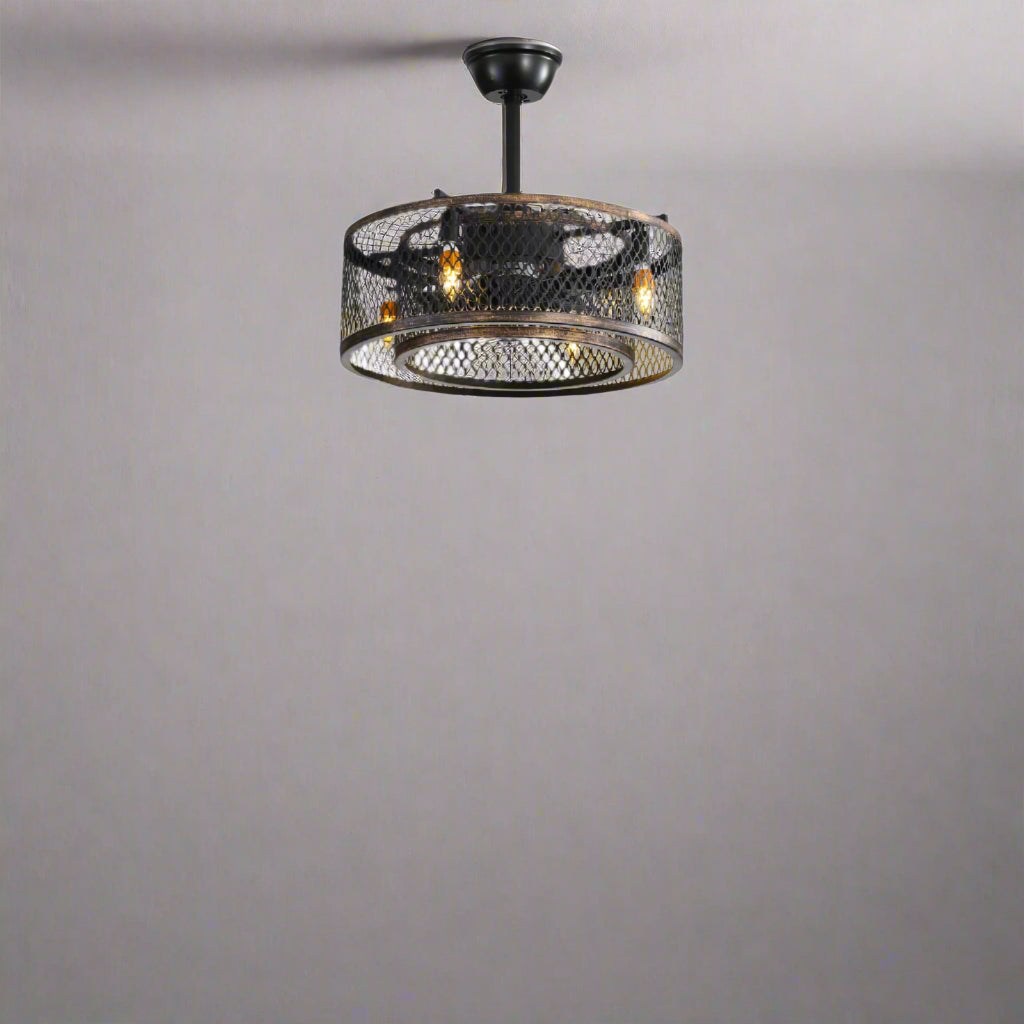 20 inch Caged Ceiling Fan with Lights