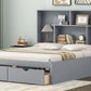 Queen Size Platform Bed with Storage Headboard and 2 Drawers, Gray