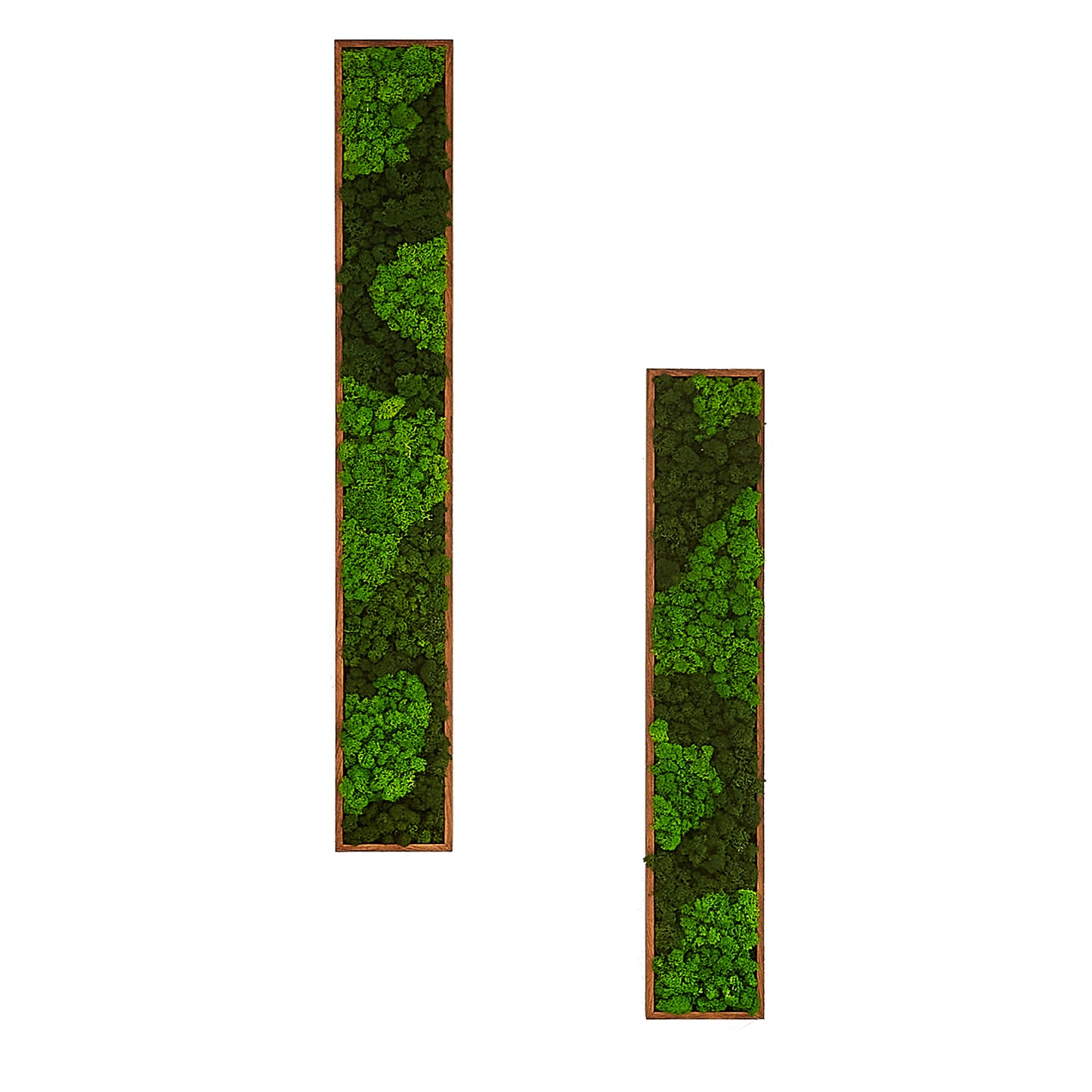 Rectangular Mixed Moss Wall Art, only the Medium