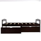 Twin size platform bed, with two drawers, espresso