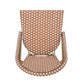 Wicker Bar Stool with Aluminum Frame (Set of 2)