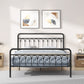 Tara Metal Bed Queen Black