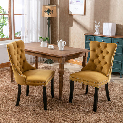 High-end Tufted Solid Wood Contemporary Velvet Upholstered Dining Chair with Wood Legs Nailhead Trim 2-Pcs Set Gloden