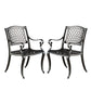 CAYMAN ARCH MESH I CHAIR(set of 2)